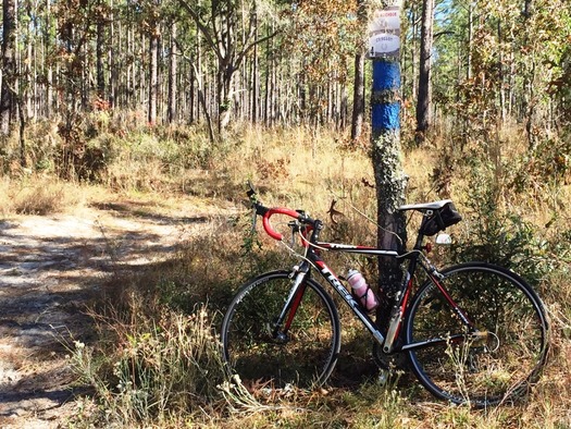 Trail Marker Sign at end of Richbarn Rd