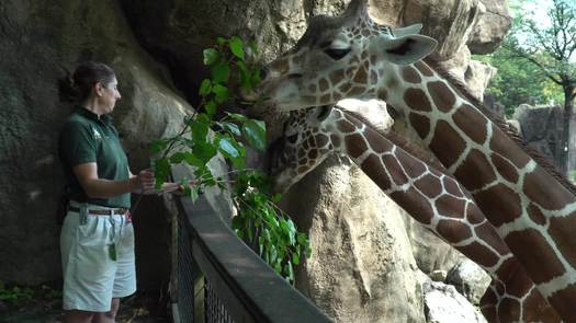 Philadelphia Zoo