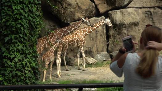 Philadelphia Zoo