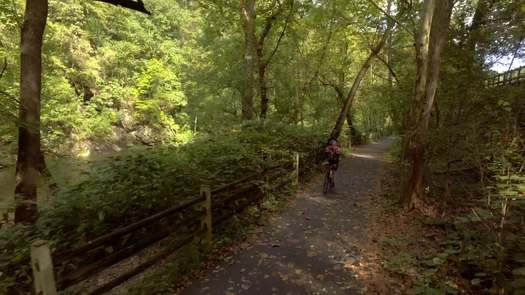 Wissahickon