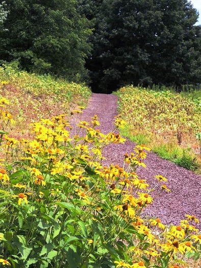 Pittsburgh Botanic Garden