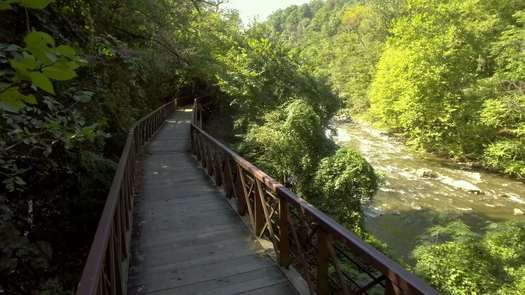 Wissahickon