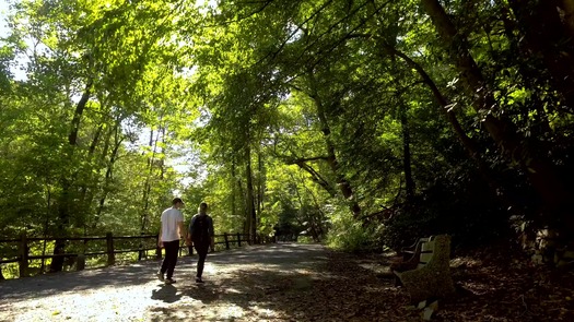 Wissahickon