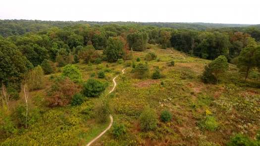 Wissahickon