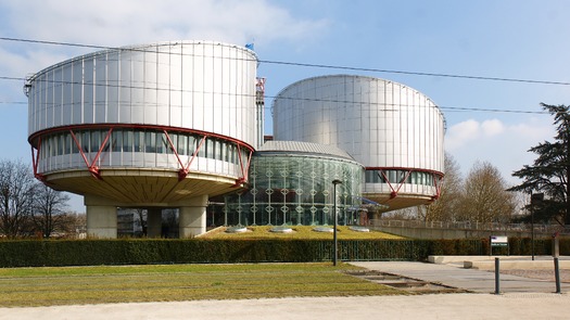 RNS-European_Court_of_Human_Rights1 110618