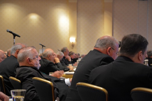 RNS-USCCB-Wrap2 111518