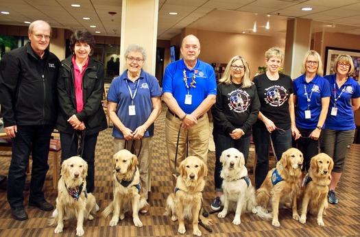 RNS-Comfort-Dogs2 111518