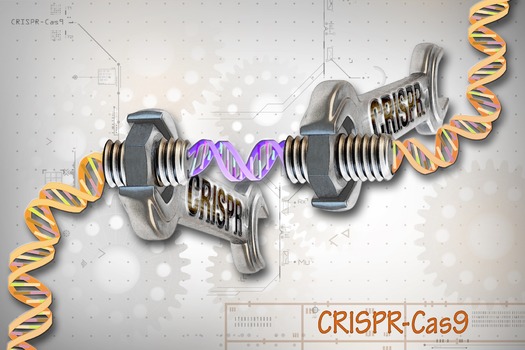 RNS-CRISPR-Editing1