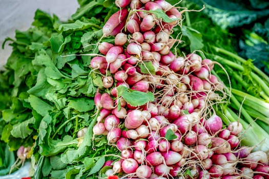 Farmers Market at Christ Church