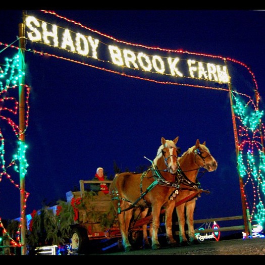 Shady Brook Farm Holiday Light Show