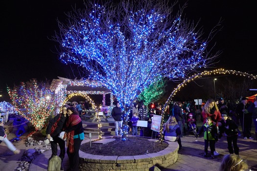 Shady Brook Farm Holiday Light Show