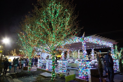 Shady Brook Farm Holiday Light Show