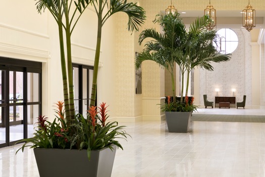 Grand Sierra Foyer