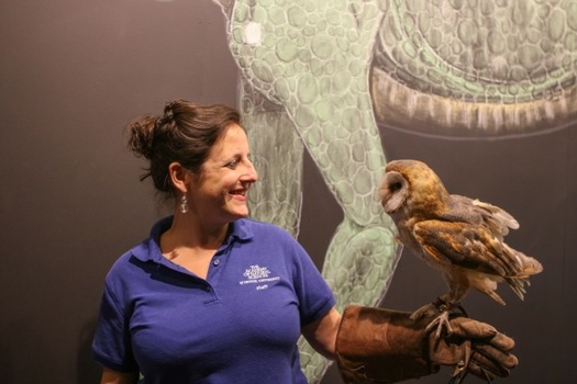 Mary Bailey, Academy of Natural Sciences of Drexel University