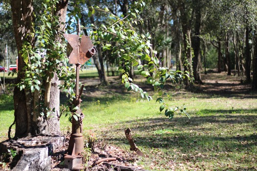 Good Neighbor Trail