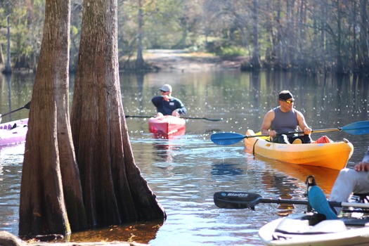 kayak withlacoochee