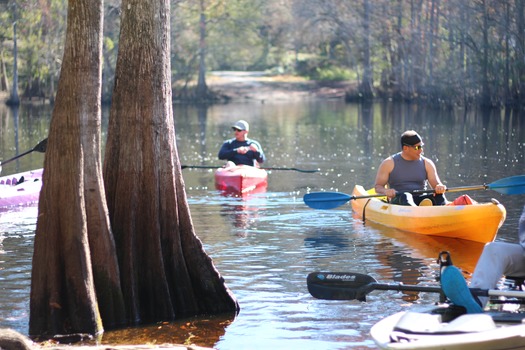 kayak withlacoochee