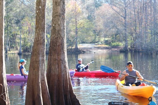 kayak withlacoochee