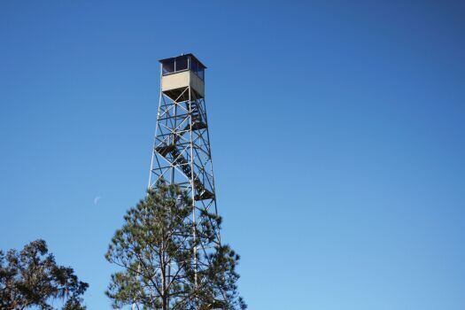 Tucker Hill Trail Head Tower, Withlacoochee State Forest, Brooksville