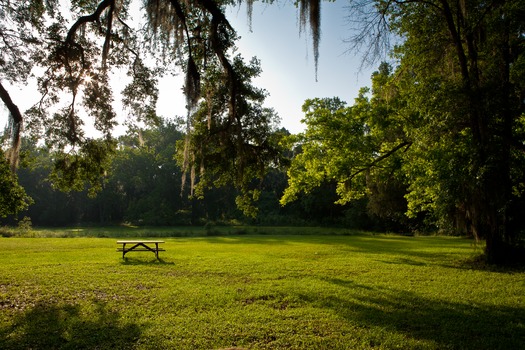 Lake jackson Mounds - HR--2008