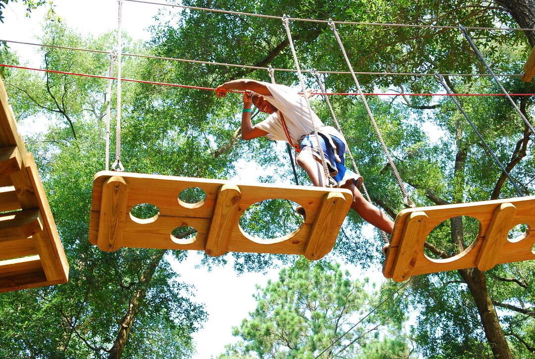 tallahassee museum zipline obstacle course