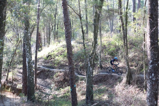 Croom Bike Trails and Races