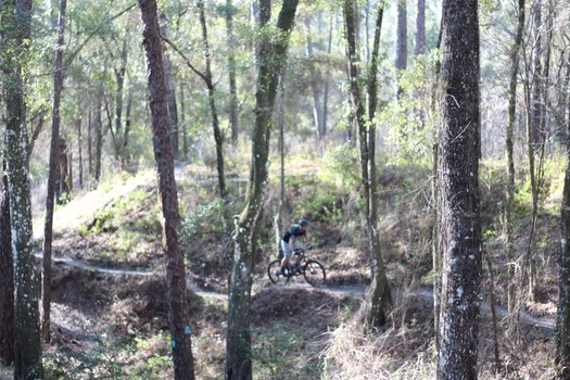 Croom Bike Trails and Races