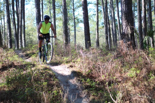Croom Bike Trails and Races