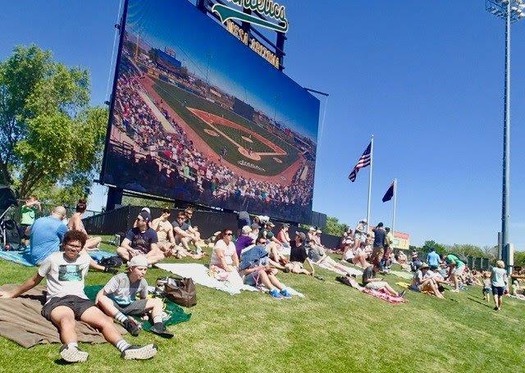 Cactus League Spring Training