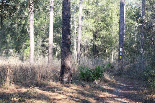 Croom Bike Trails and Races