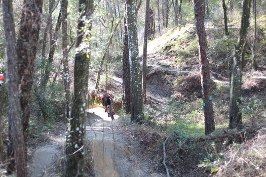 Croom Bike Trails and Races