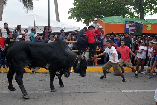RNS-Mexico-Candelaria05 020819
