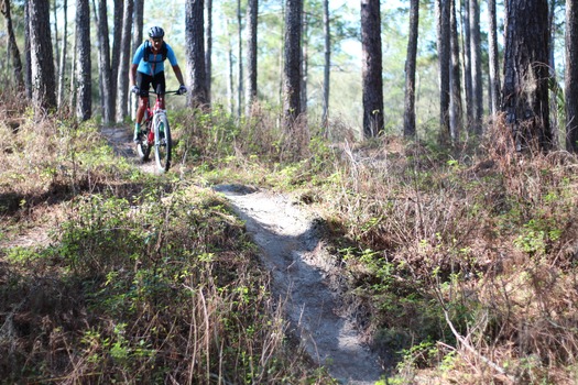Croom Bike Trails and Races
