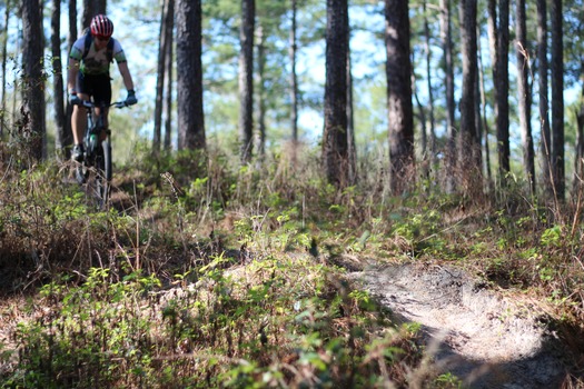 Croom Bike Trails and Races