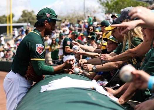 Cactus League Spring Training