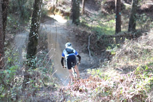 Croom Bike Trails and Races