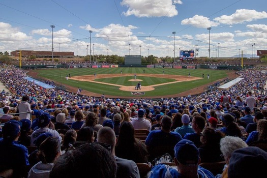 Cactus League Spring Training