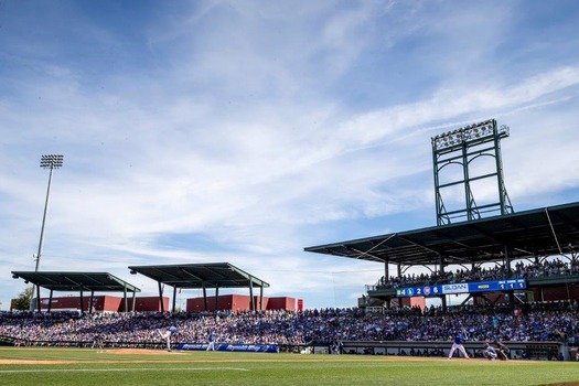 Cactus League Spring Training