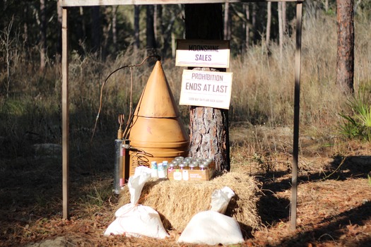 Croom Bike Trails and Races