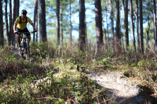 Croom Bike Trails and Races