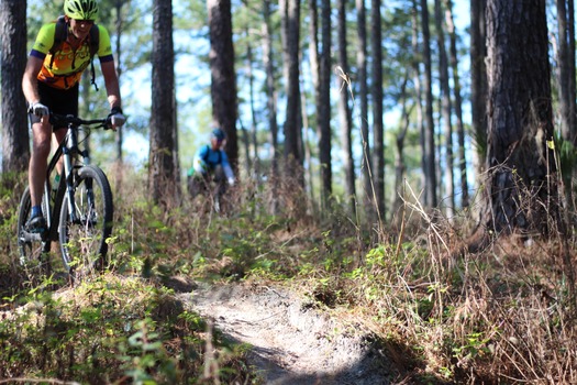 Croom Bike Trails and Races