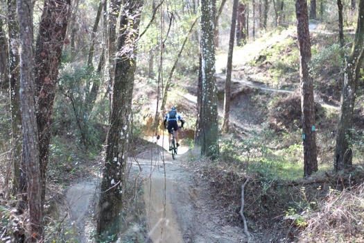 Croom Bike Trails and Races