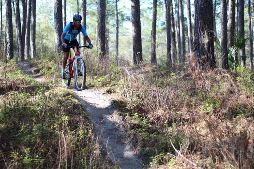 Croom Bike Trails and Races