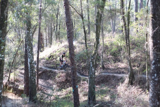 Croom Bike Trails and Races