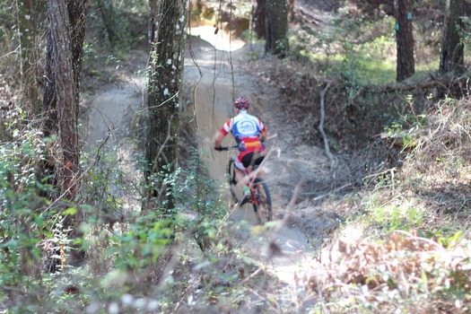 Croom Bike Trails and Races