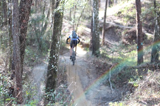 Croom Bike Trails and Races