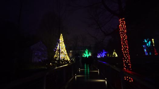 Longwood Gardens Holiday Lights
