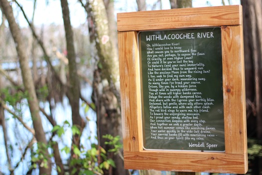 Withlacoochee State Forest/Trail