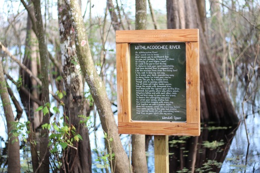Withlacoochee State Forest/Trail