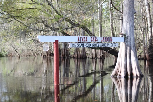Nobleton/ River Oaks Landing